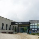 제주자연잔디 이미지