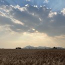 죽도봉공원 | 전남 순천 2박3일 여행 - 2일차 인생샷 많이 건진 순천만487 카페 순천만습지 풍미통닭 죽도봉공원 후기