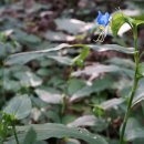 영회원약수터 이미지