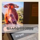 경상북도 청도학생수련원 | [청도 소싸움 미디어체험관 후기] 아이와 함께 즐긴 이색 체험 나들이