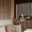 스테이 릴리 이미지