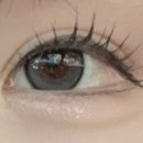 이오티디(EOTD)