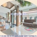 풀오키드 | 파타야 여행객 필독! 비 오키드 풀 빌라 추천 후기