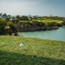 파인비치B 이미지