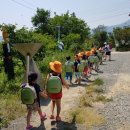 창포초 병설유치원 이미지