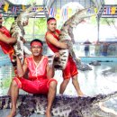 택양농장 이미지