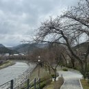 수안보온천길 | 충주 벚꽃 명소 수안보온천 족욕길 26년 4월 4일 토요일 방문 후기 그리고 찾아낸 호떡 맛집