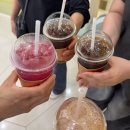 충남서천 여행: 서천국립생태공원🌱 아이들과 가볼만한곳추천, 데이트코스 추천