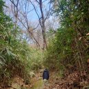 사자사지 이미지