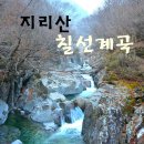 177차 지리산 칠선계곡탐방 정기산행 (7월26일) 이미지