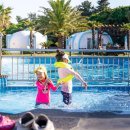 제주야자수정원수영장 올레돔 감성독채숙소 이미지