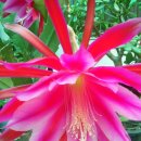 도경프라자 이미지