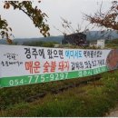 신라숯불갈비 이미지