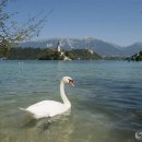 고전에서 배우는 지혜 이미지