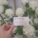 가론 에스테틱 네이버블로그