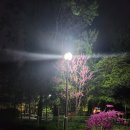 분당야탑역점미정국수0410 이미지