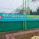 지영인조잔디구장 이미지
