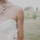 농협신니 이미지