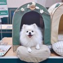 메가주 헬퍼 참여한 개엄마의 메가주 후기
