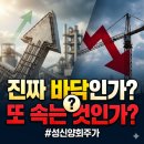 성신양회(주)단양공장 | 성신양회 주가 전망