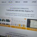 영어회화 | 원주 성인영어 애나잉글리쉬 지루할 틈 없던 영어회화 후기