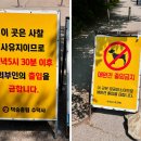 GS25 면목황금점 | 천년고찰 예산 수덕사｜관람료 무료 사찰 여행, 국보 대웅전부터 주차·미술관까지
