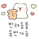 멍냥의민족인천