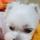 우주를 줄개 이미지