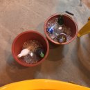 김부자댁 둘째딸 | 담양 김부자댁 둘째딸