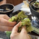 마산회원구 ⓒ-32 | 마산합성동 물회 맛집 물마루 회 한상 후기