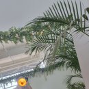 랑데자뷰시흥