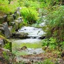 운주산승마자연휴양림 이미지