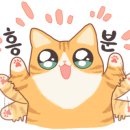 팜팜비 이미지