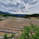 화천공인중개사사무소 이미지