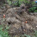 모아2리 이미지