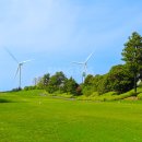 중문단지축구장 천연잔디구장 | 에버리스CC 제주골프조인 2인 라운드도 가능한 골프장 추천