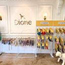 도그미용실 이미지