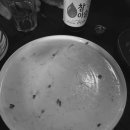 차돌산장 이미지