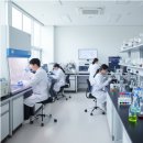 (주)디에이바이오테크 | 큐리오시스 당일 익절 매도 후기! 얼마나 벌었을까?