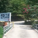 엔학고레