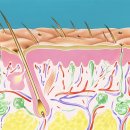 머리카락헤어샵 이미지