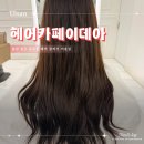 이데아 | 울산 중구 미용실 헤어카페이데아 유곡동 클리닉 후기