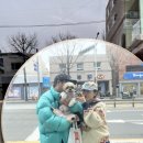 댕댕몽띠끄 네이버블로그