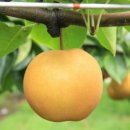 한아름슈퍼 이미지