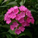 간데메공원 이미지