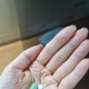 엘림약국 | 이명 약, 이명 영양제..요즘 병원 다니는중..기넥신후기