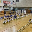 신주례태권도2 이미지