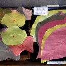 천연염색길 이미지