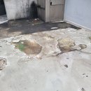 주정차76 이미지