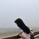 혜인목장 이미지